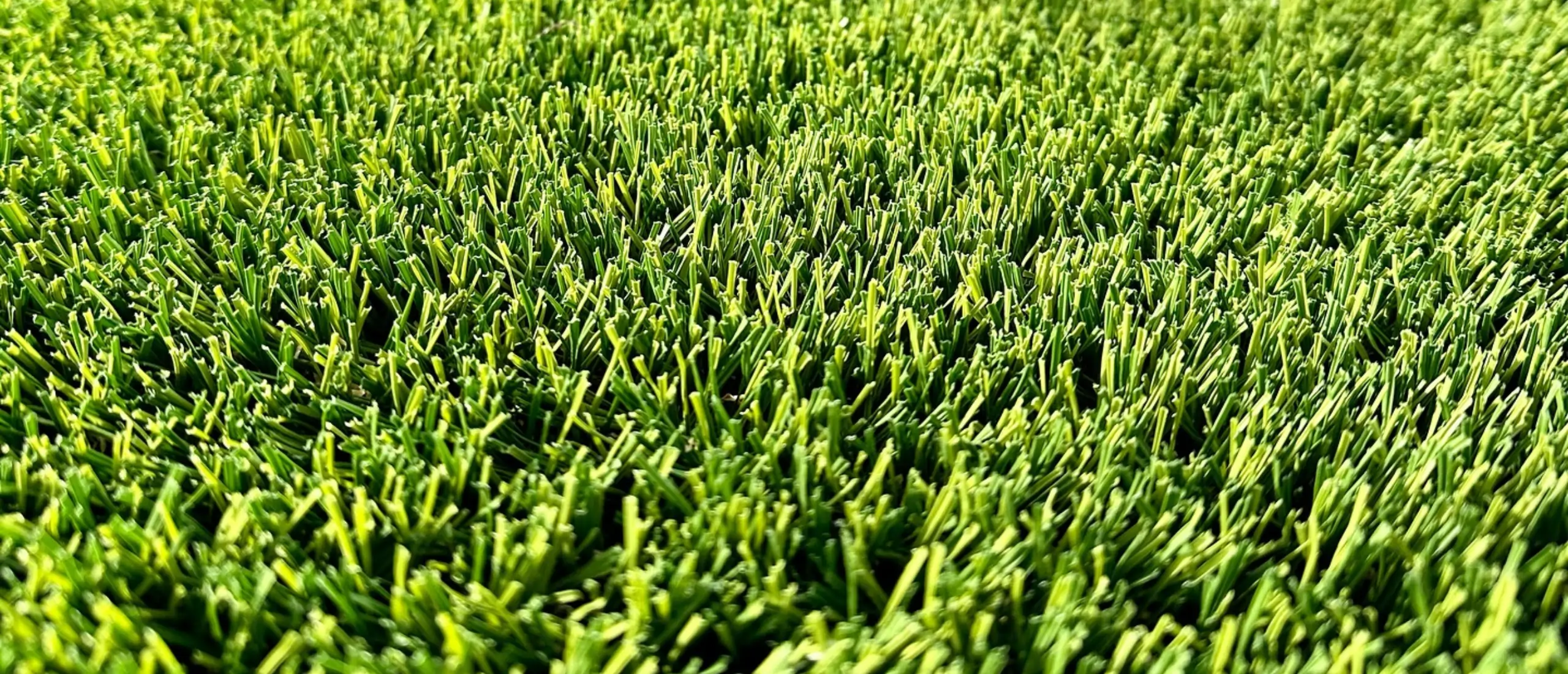 close up of synlawn new jersey artificial turf